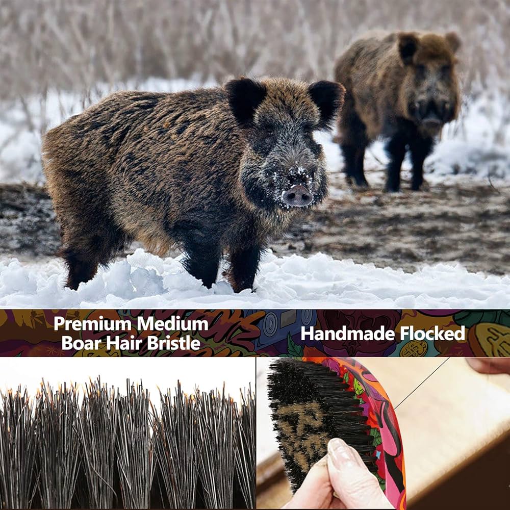 Amazon.com : Premium 360-Curved Beard Brush with Medium Boar