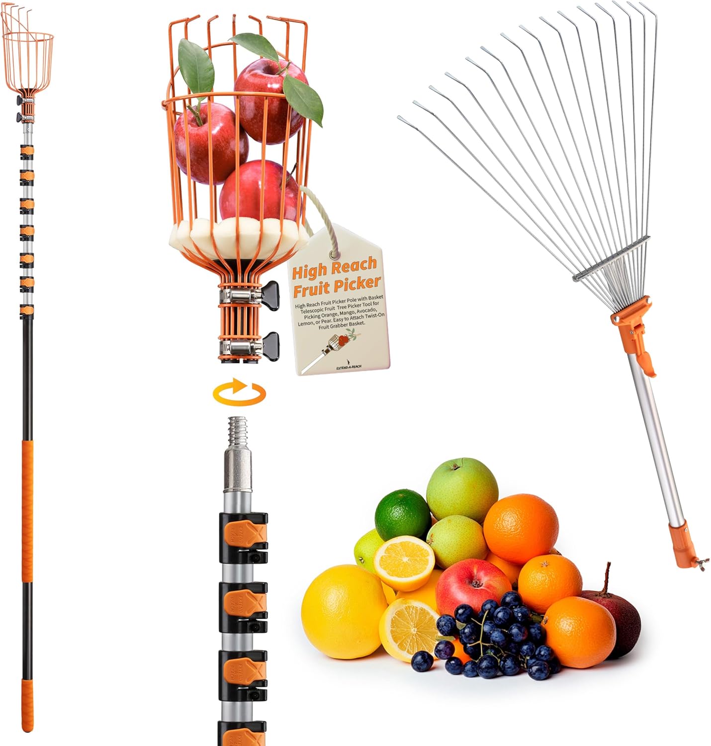 7-30 ft Fruit Picker Pole and Basket with Metal Leaf Rake // Fruit Tree Picker Tool for Picking Orange Mango Avocado Lemon Pear // Collapsible Raker Tool for Gardening and Lawns
