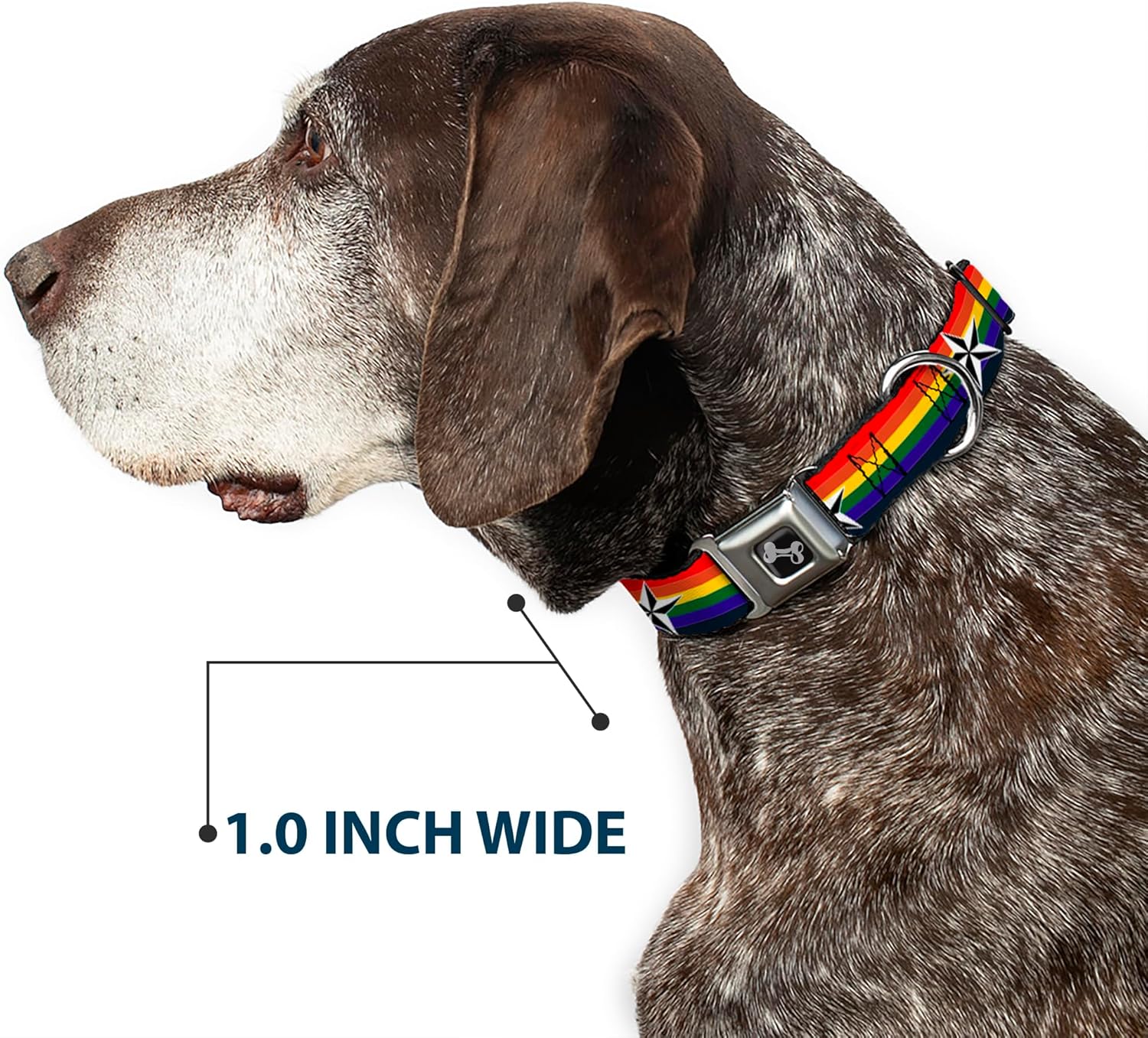 Dog Collar Seatbelt Buckle Nautical Star Rainbow White Black 15 to 26 Inches 1.0 Inch Wide