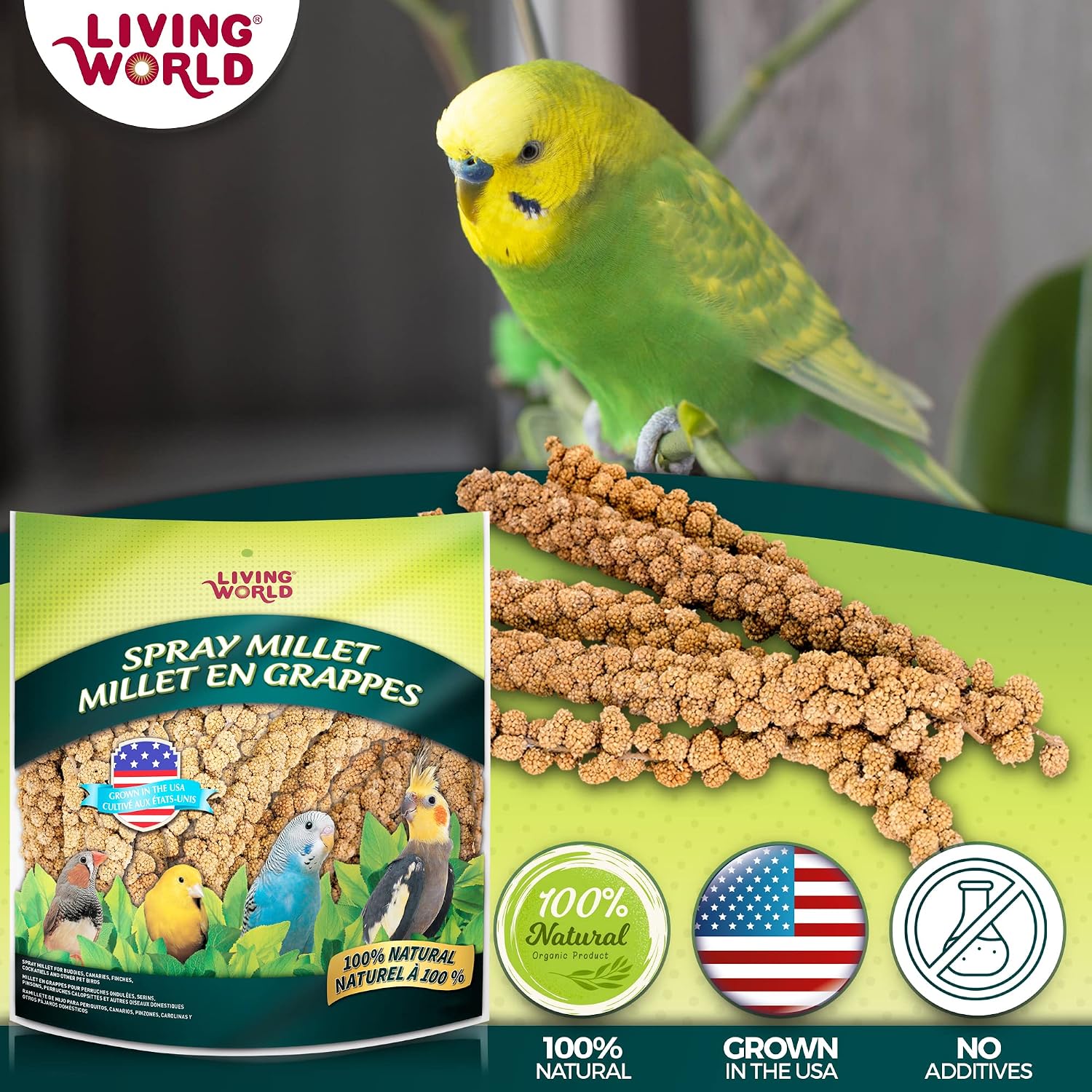 Living World Birds Spray Millet, 5-Pound