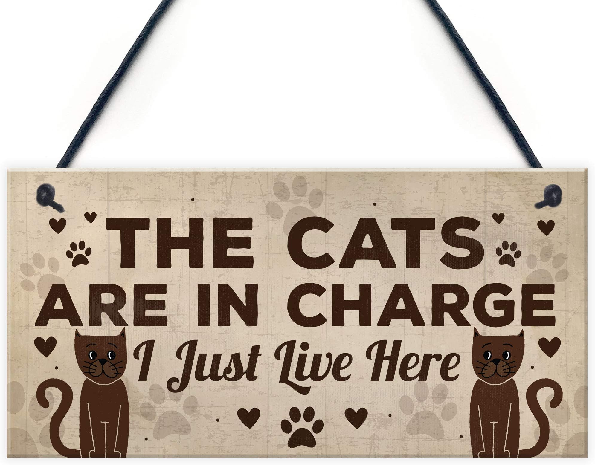 Red Ocean Funny Cat Gifts For Cat Lovers Gift For Women Home Decor Plaque Animal Sign Pet Novelty Gifts