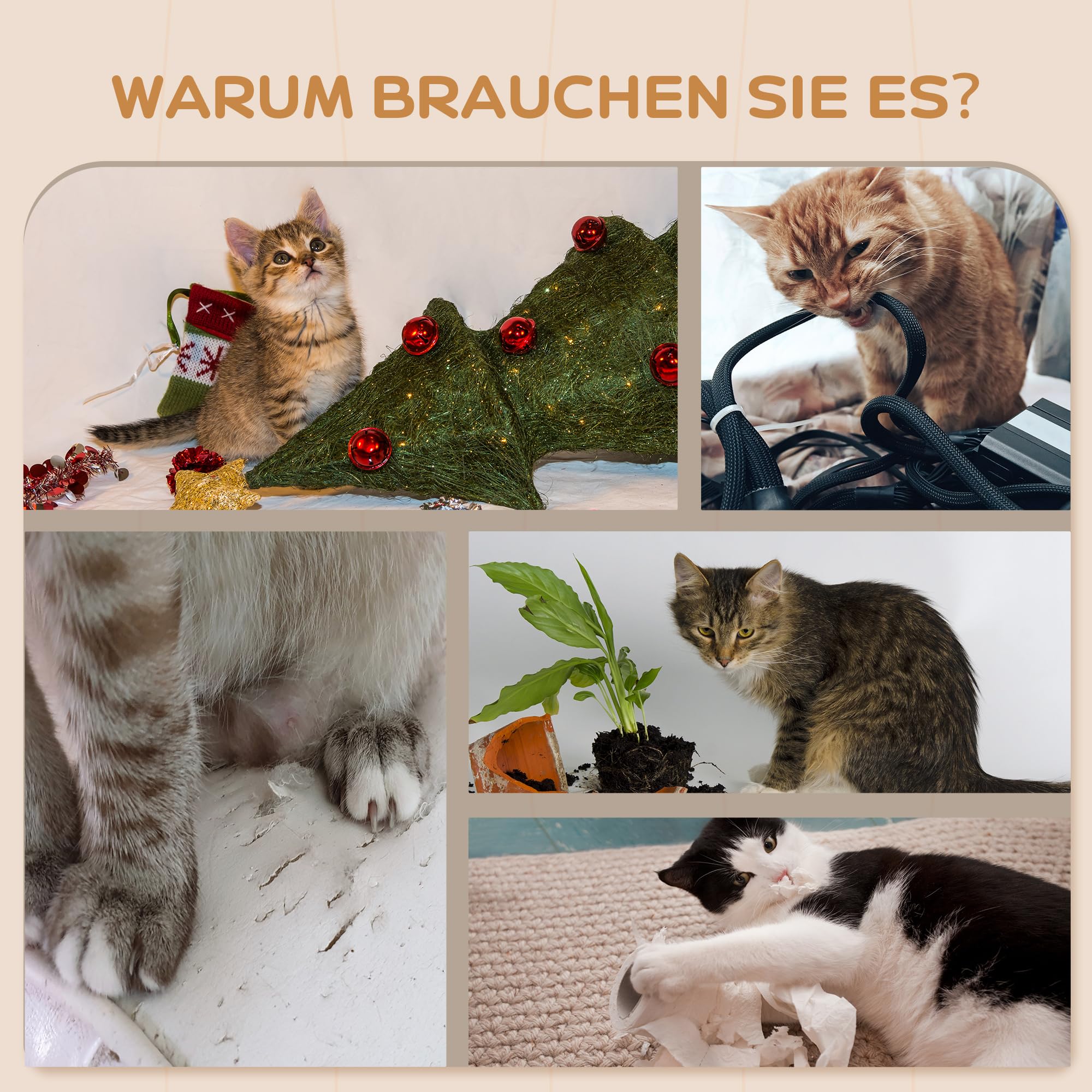 PawHut Kletterwand Katzen 5-Teilig Kratzstamm Katzenhaus bis 5 kg Beige | Katzenkletterwand, Katzen Wandelemente, Sprungplattformen, Katzenleiter, Katzenwandmöbel Set, für Klettern Spielen Schlafen