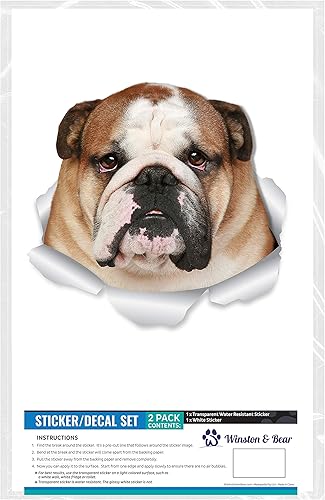 Miniatura 6 de Winston & Bear Calcomanías divertidas de pared de bulldog – Paquete de 2 – Calcomanías 3D de bulldog inglés para paredes, automóviles, inodoro y más