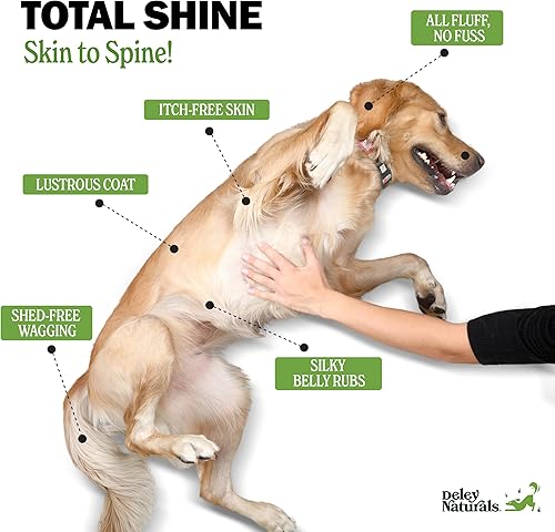 Miniatura 3 de Deley Naturals Masticables Omega para la piel y el pelaje, aceite de pescado Omega 3 con DHA y EPA, biotina, colágeno, vitaminas C, E y zinc,