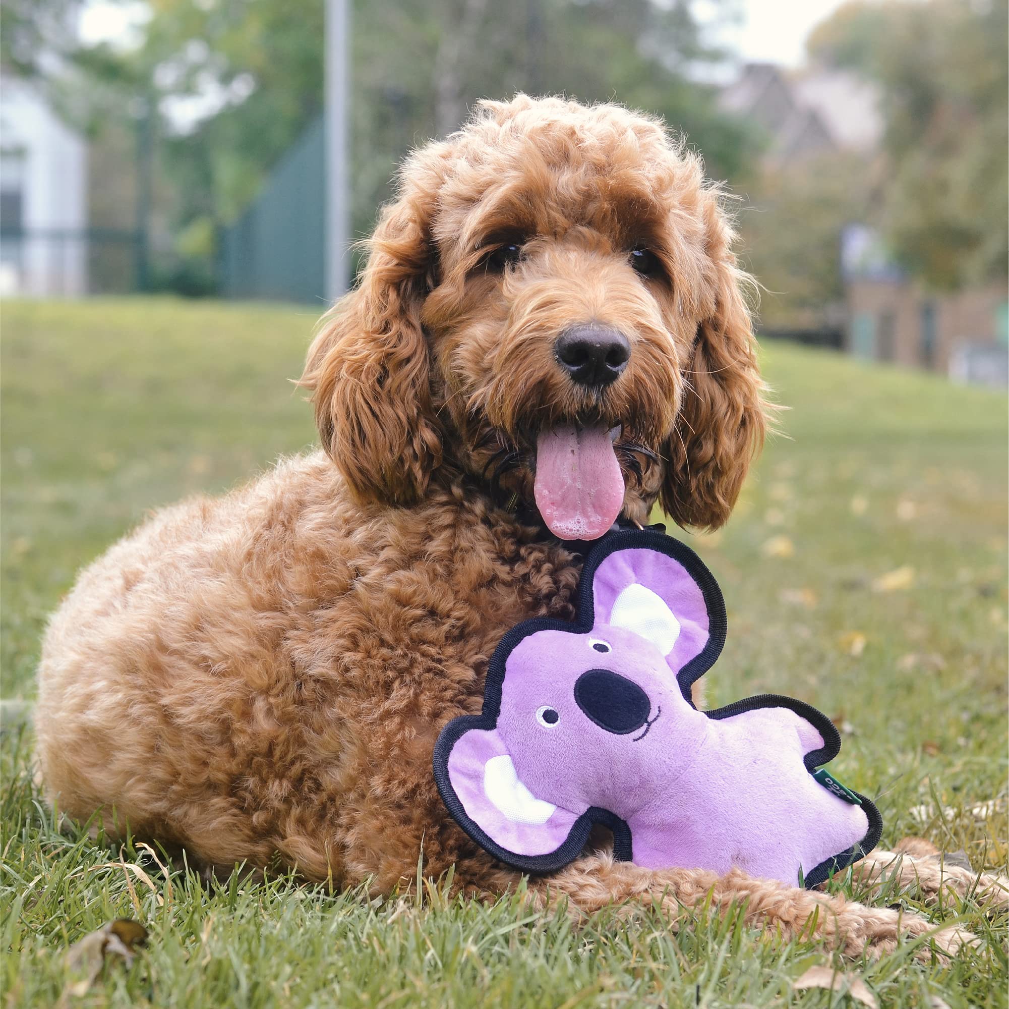 Beco Rough & Tough - Juguete masticable de Koala Morado para Perros, Doble Costura para Mayor Durabilidad, Fabricado con plástico Reciclado