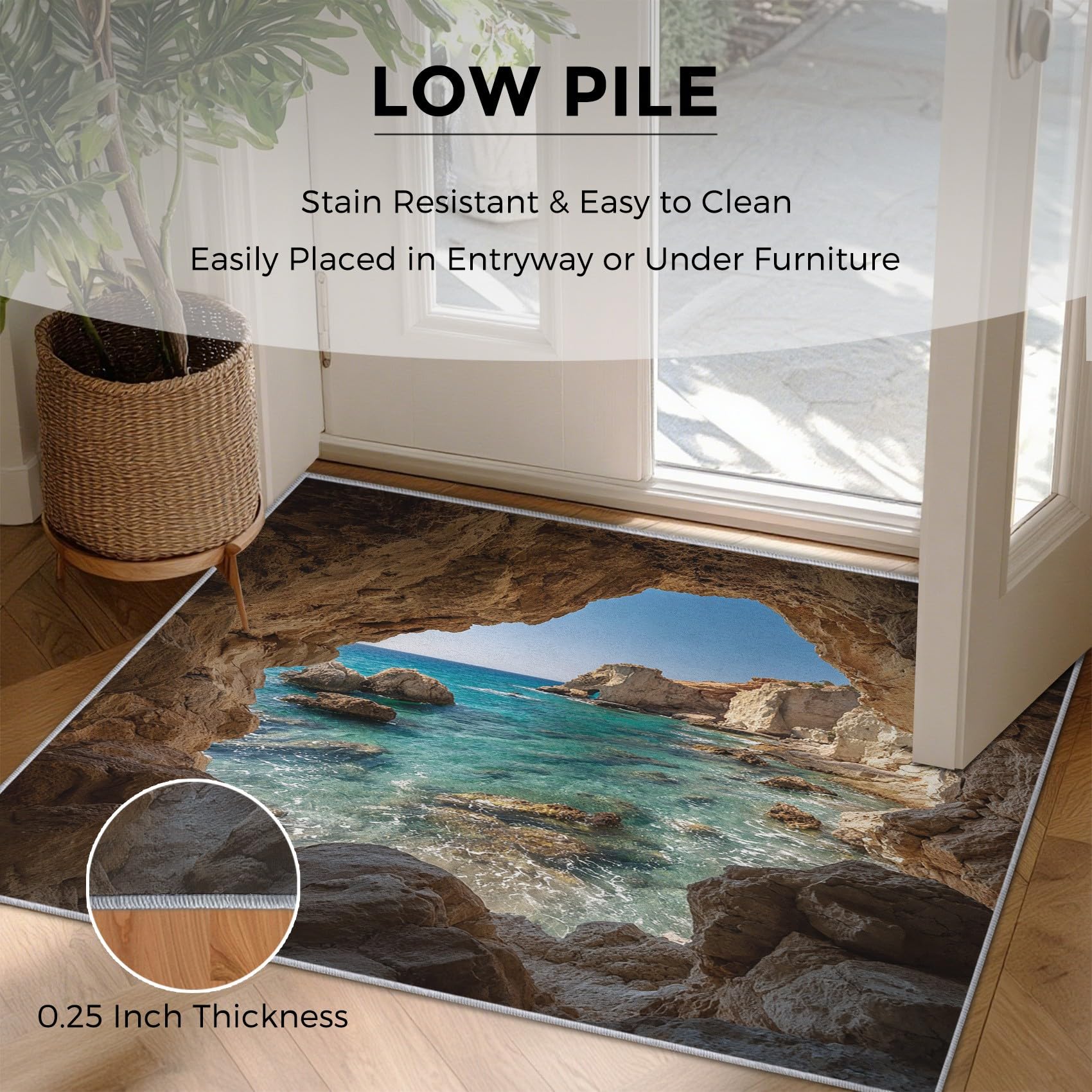 Générique Tapis Paysage Naturel 60x90, Lavable Poils Ras