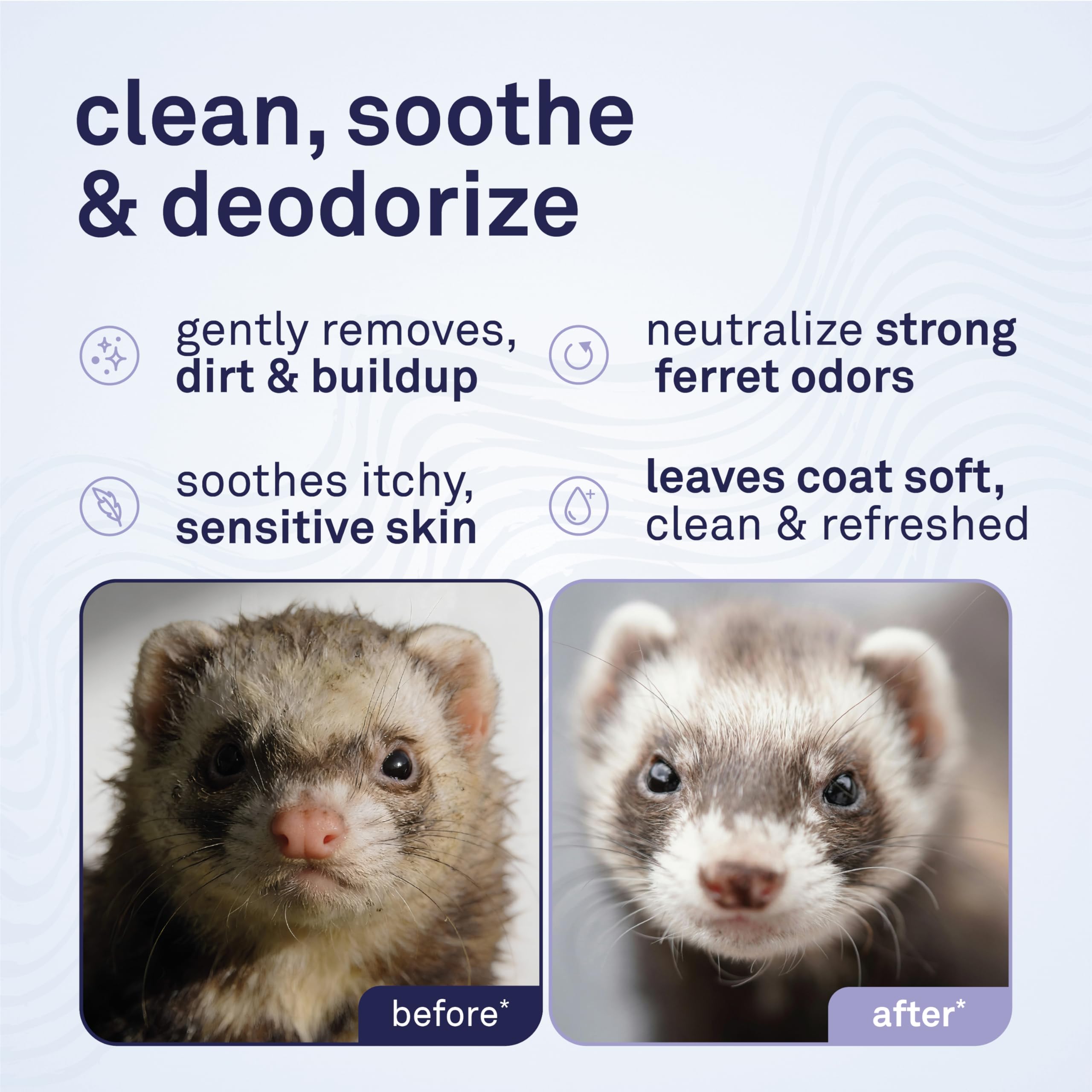 Petpost | Shampoing pour furets - Shampoing désodorisant naturellement Efficace pour furets et Petits Animaux - Formule conçue pour Une Peau et Un Pelage en Bonne santé