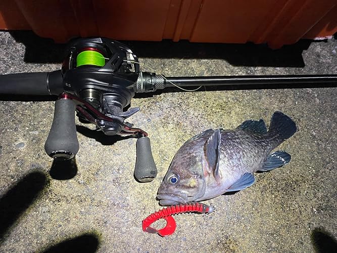 Amazon | AbuGarcia (アブガルシア) ソルティーステージプロトタイプ
