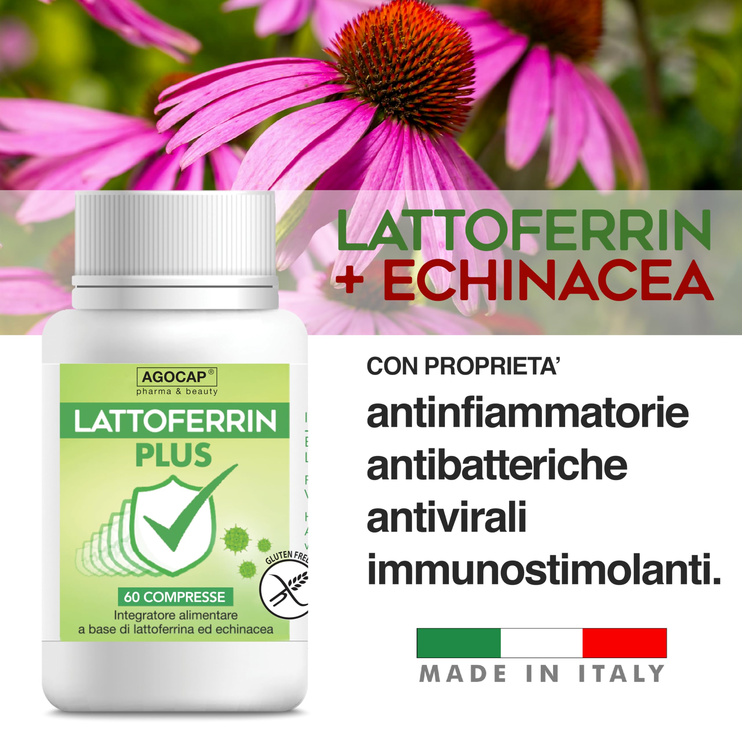 Lattofferina con echinacea per le difese immunitarie. 60 COMPRESSE di lattoferrina 200 immuno stimolante. Integratori difese immunitarie ideale per tutta la famiglia. Lattoferrine Agocap