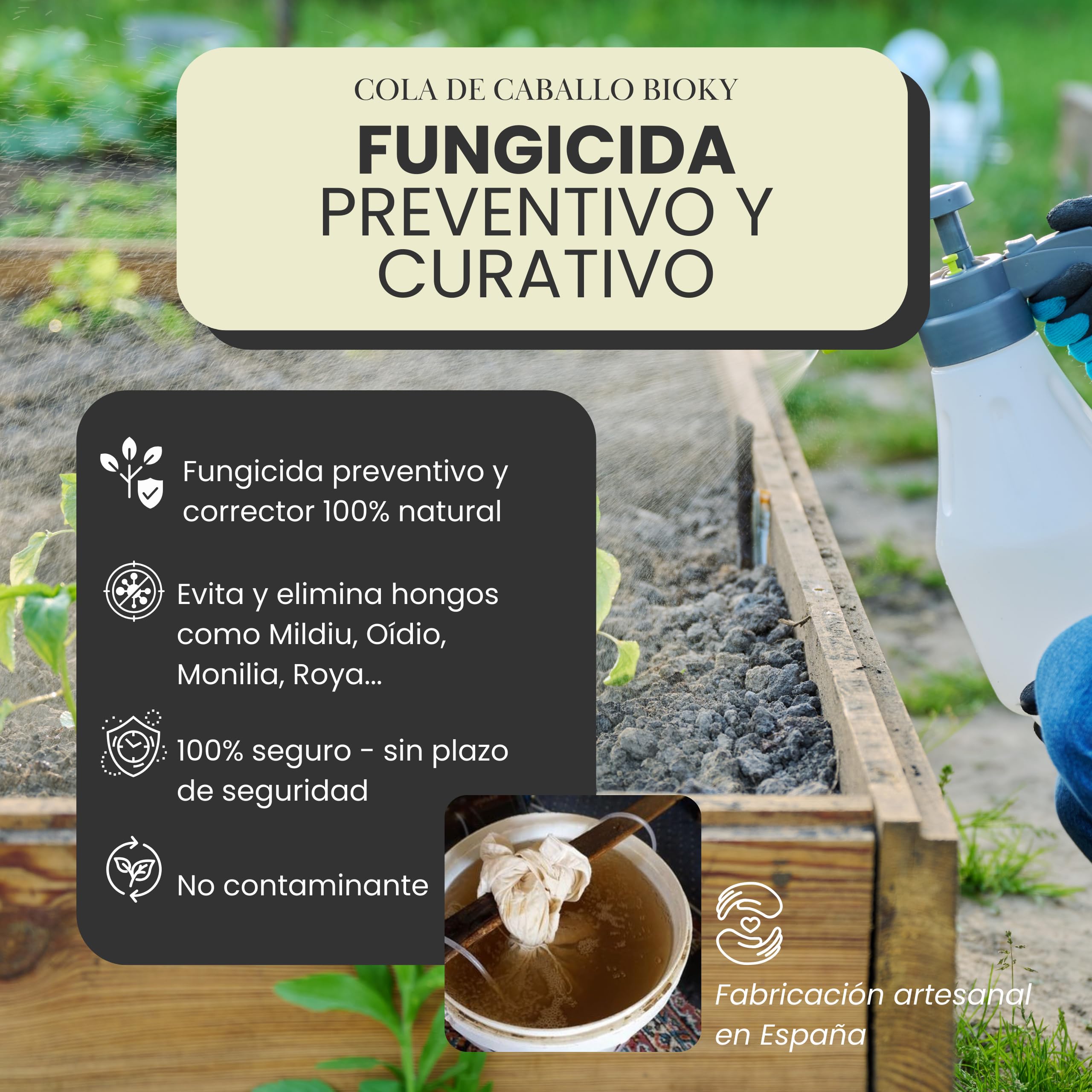 Ackerschachtelhalm-Fungizid 20 L  Vorbeugend und Kurativ fr Pflanzen   Biostimulans fr Zimmerpflanzen und Urban Gardening  Wirksam gegen Pilze  wie ...
