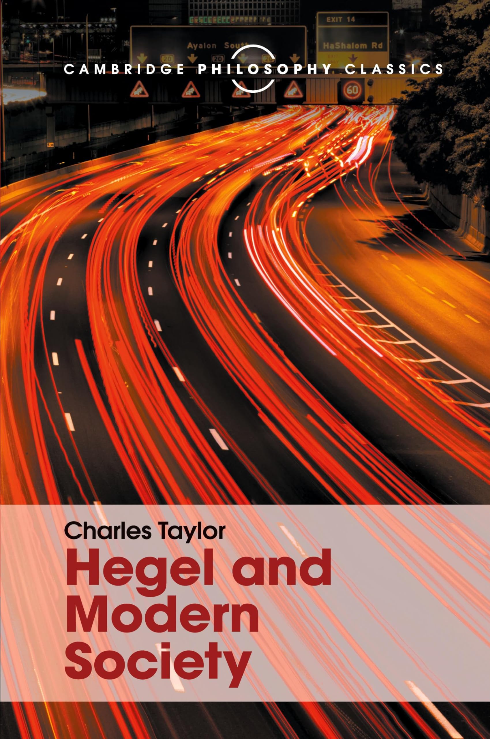 Hegel and Modern Society (Cambridge Philosophy Classics)