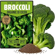 1350+ Organic Broccoli Seeds for Planting - Heirloom Non GMO