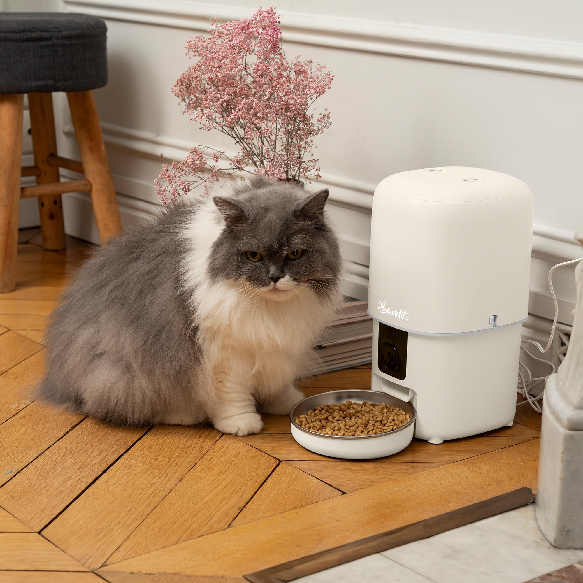 Bandit - Distributeur de croquettes Intelligent - Caméra HD & Micro - Suivi diététique pour Chats et Petits Chiens - Programmation jusqu'à 15 Repas - Réservoir 4L hermétique - Couleur crême