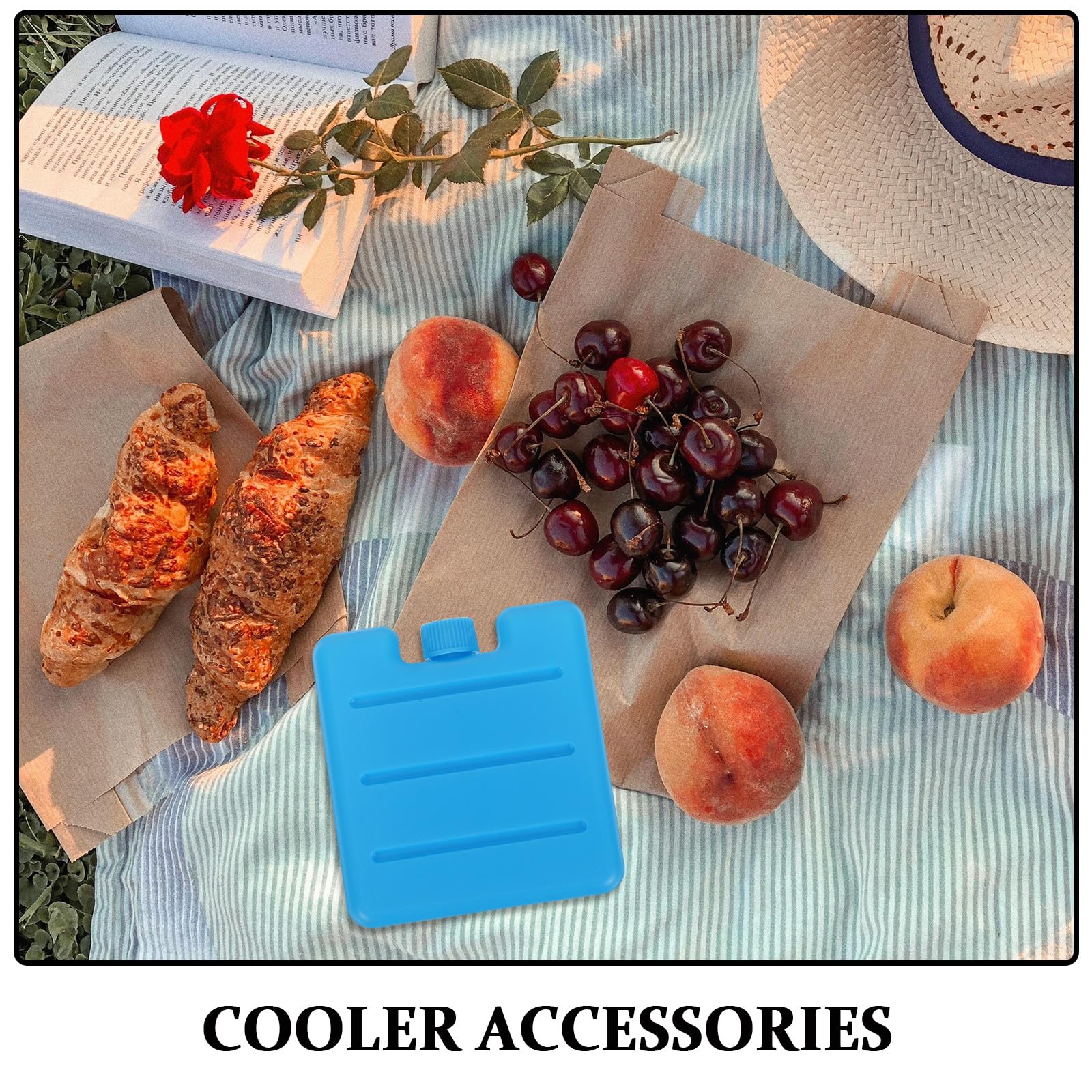 Housoutil Blocs Réfrigérants pour Refroidisseur d'air 8pcs 100ml Bleu