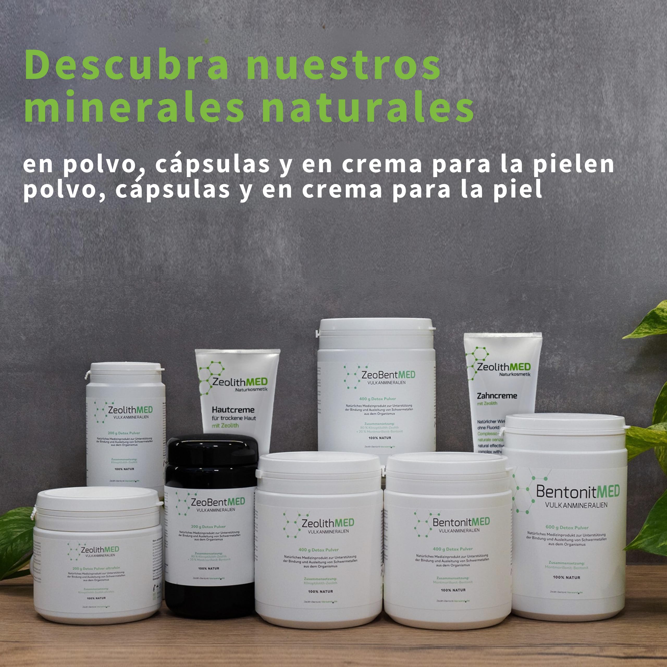 Zeolith MED 600 - Cápsulas de detox (producto medicinal con certificación CE) | Dispositivo médico natural, alta dosificación, altamente eficaz, ultrafino, 9 µm, calidad farmacéutica, 100% clinoptilolita