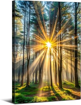 Sunrise Forest Canvas Wall Art Bedroom Office Wall Decor Nature Mountain Landscape Pictures Sunset Green Tree Photo Painting Prints Modern Tropical Woods Scenery Poster Artwork Home Decoration 16x24"