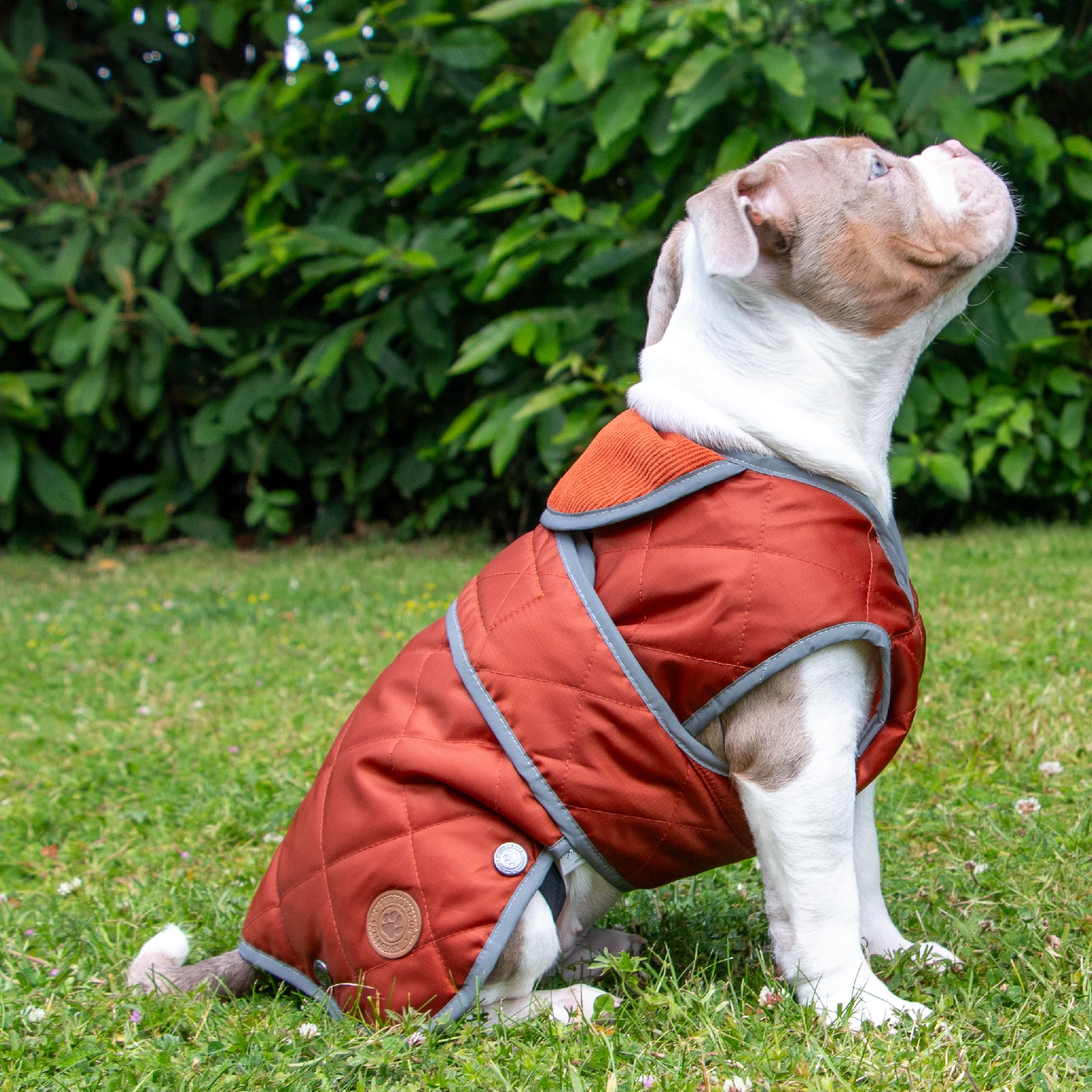 Ancol Heritage Quilted Dog Coat in Terracotta, Waterproof Fleece Lined Pet Jacket with Zipped Harness Hole - Image 4
