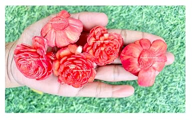 SPHINX Sola Wood Paper Bailey Flowers, D-I-Y Art and Crafts, Garland Making Festive Pooja Wedding Housewarming Christmas Decorations (Diameter Approx 4 cms - 20 Pieces, Orange)