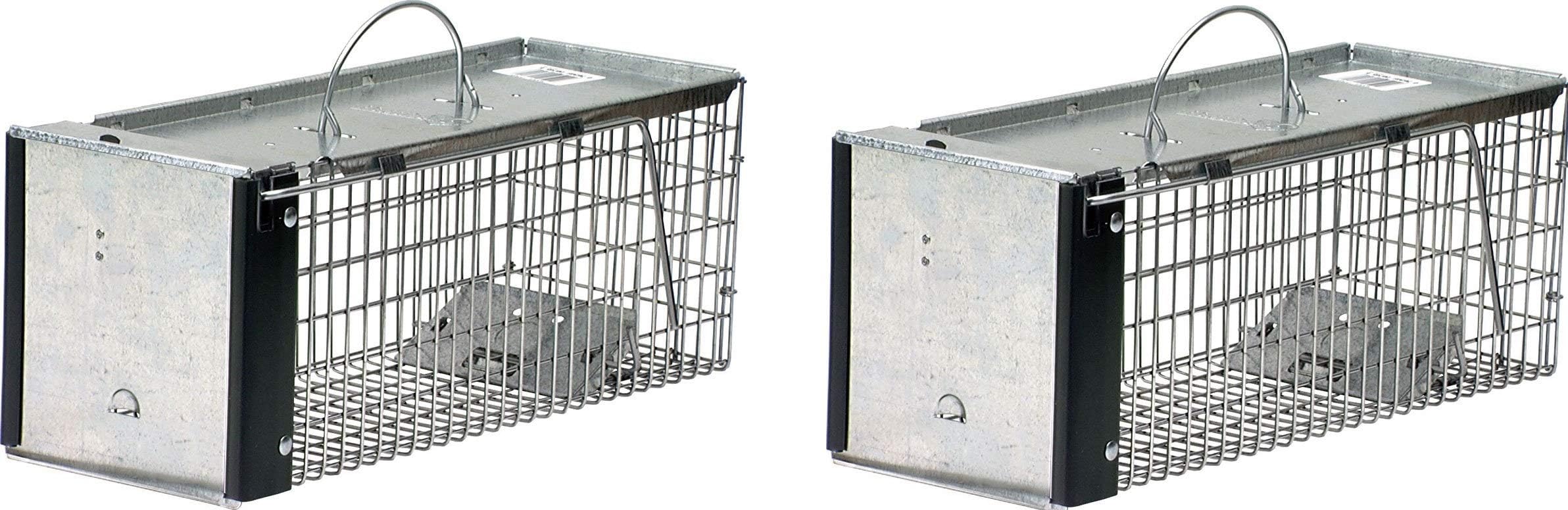 Havahart 0745 One-Door Animal Trap for Chipmunk, Squirrel, Rat, and Weasel, X-Small (Pack of 2)