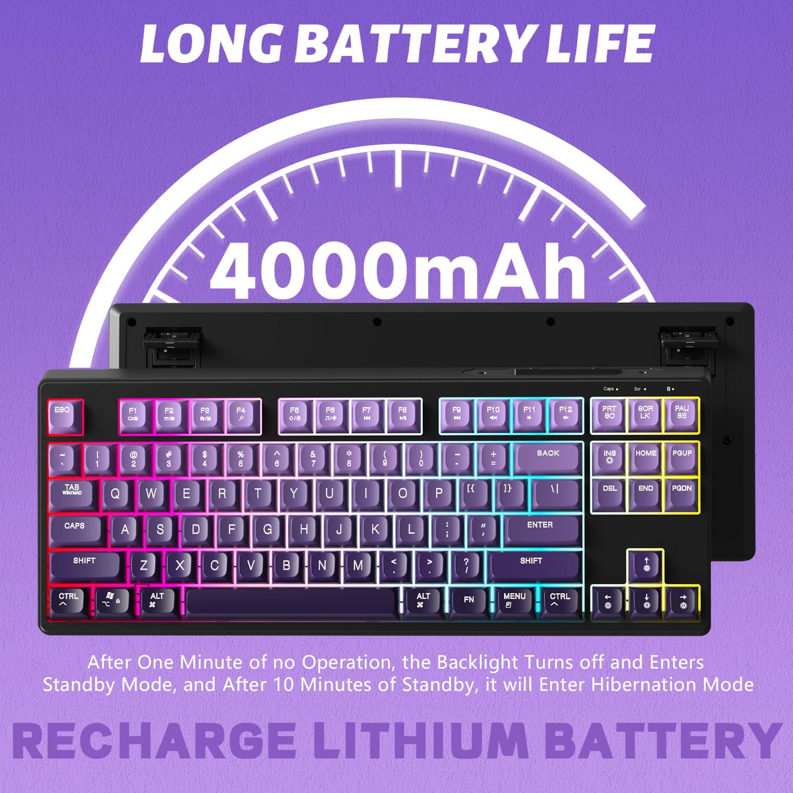 ATTACK SHARK X FREEWOLF M87 Tastiera da Gioco Wireless all'80%, TKL RGB SA Tastiera PBT Bluetooth/2.4Ghz, Batteria da 4000 mAh per Mac/Win, Ufficio/Giochi, QWERTY - Sfumatura Viola