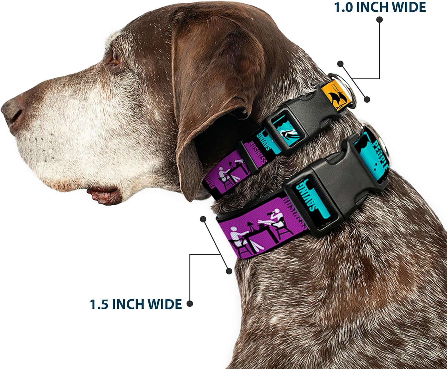Supernatural Pet Collar, Dog Collar Plastic Buckle, Supernatural Saving People Hunting Things Family Business, 13 to 17 Inches 1.5 Inch Wide