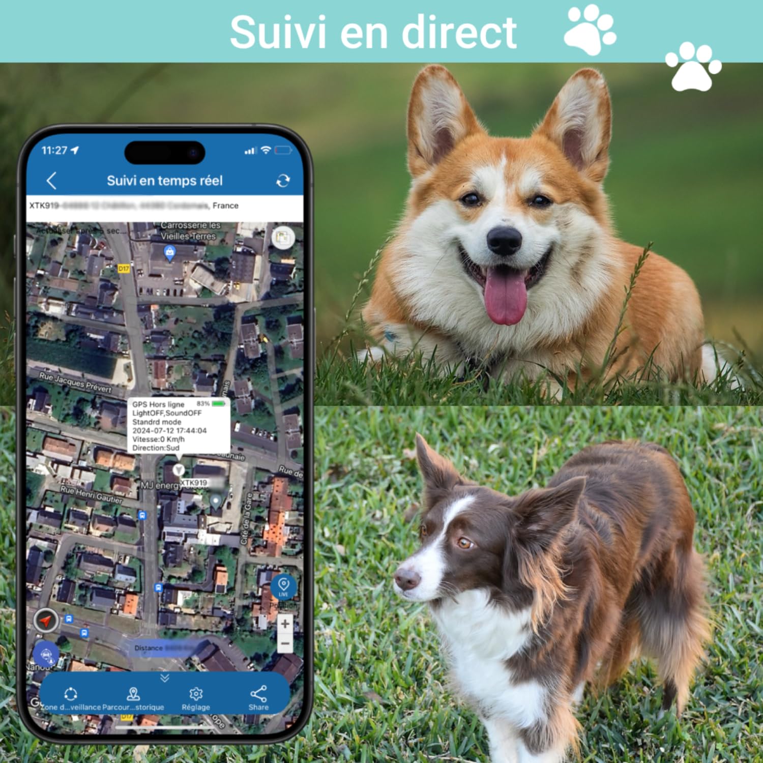 Collier GPS 4G TK919 Pro pour Chien - Traceur Anti-Fugue, Anti-Perte, Étanche - Moniteur d'Activité et Localisateur (Collier Inclus, Carte SIM Requise)