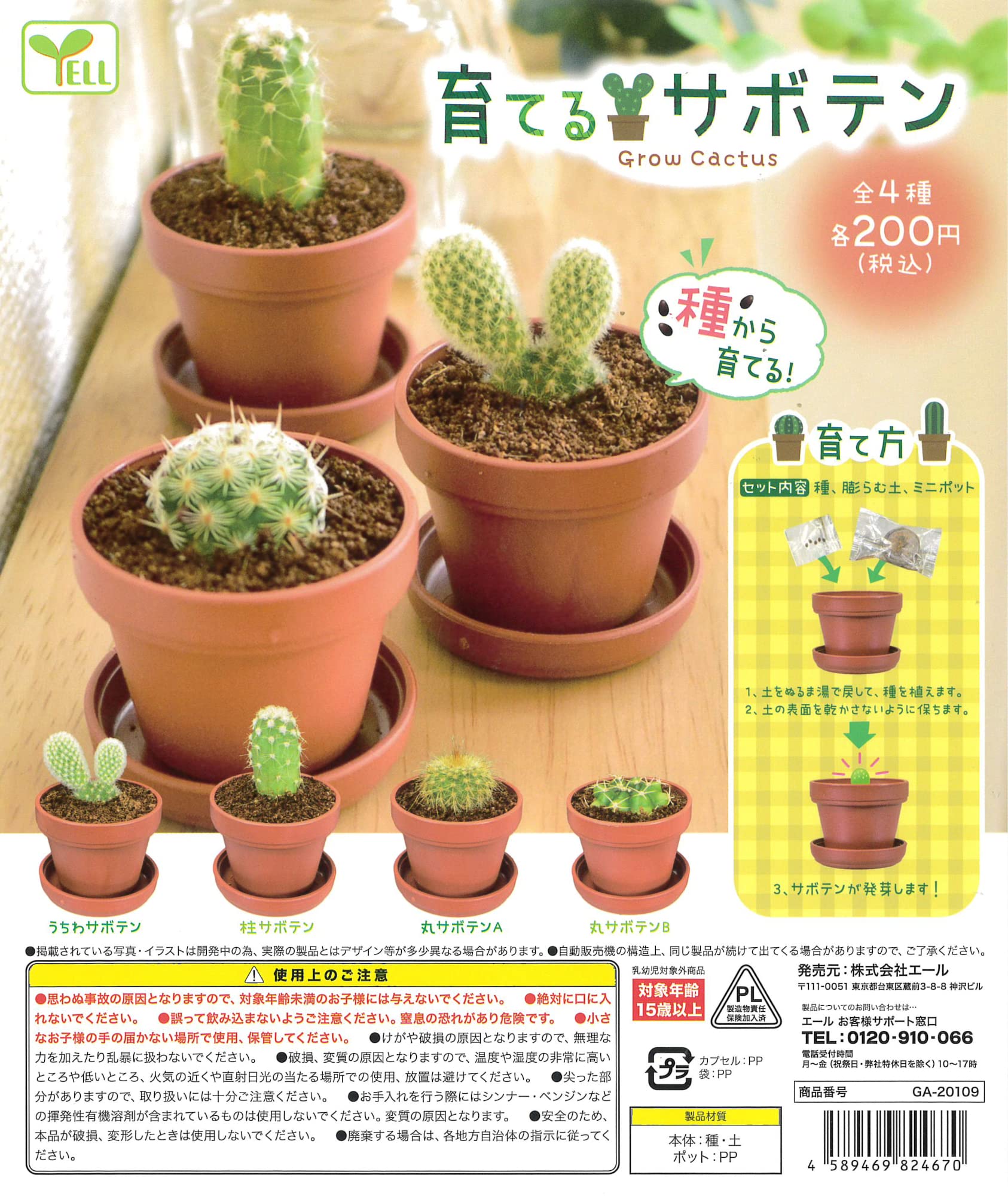 人気サボテン✨3種セット　庭セット　⭕️ブラジル柱　⭕️アズレウス⭕️キンシャチ Amazon.co.jp: 育てるサボテン 全4種セット ガチャガチャ : おもちゃ