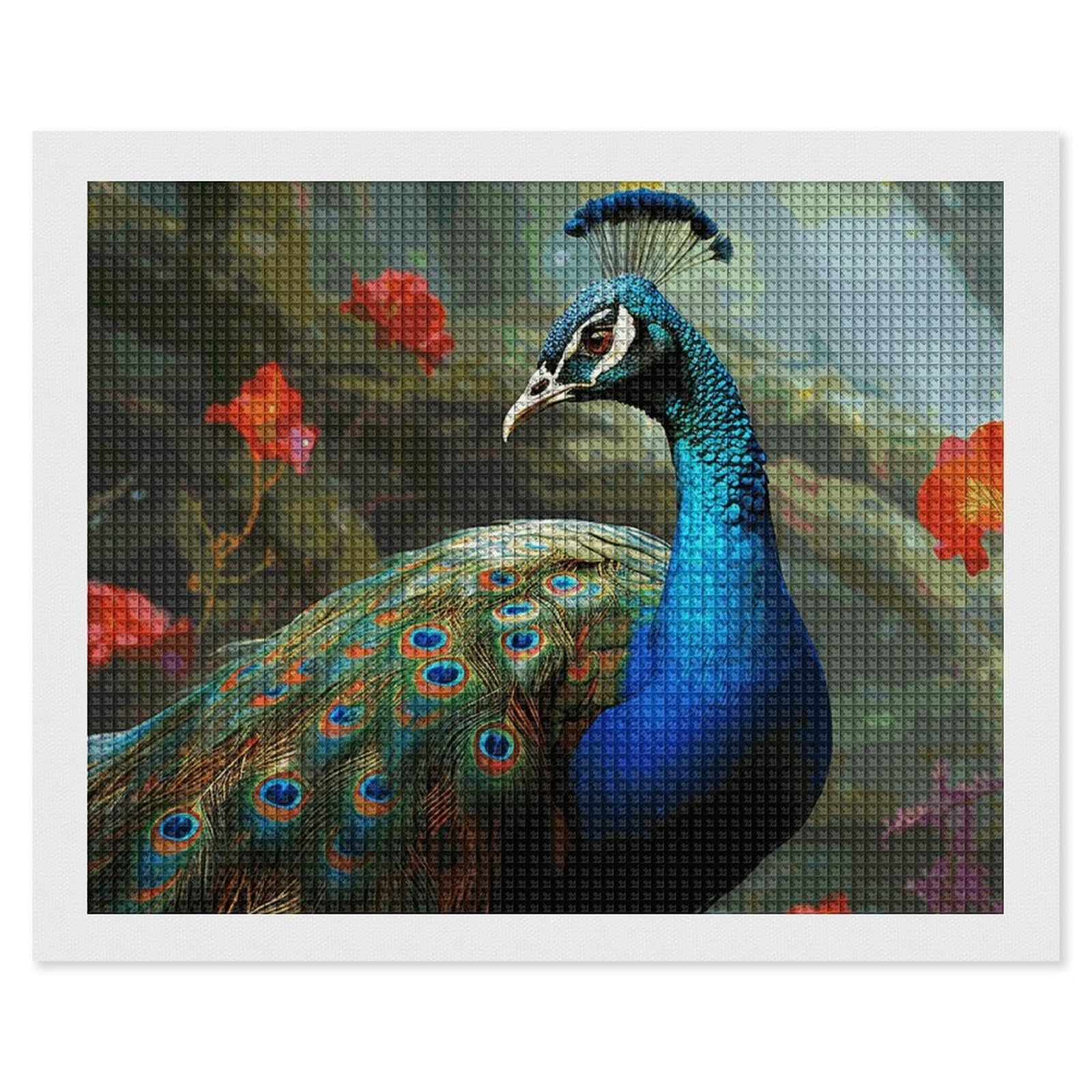 NONHAI Diamond Painting Kits for Adults - DIY Diamond Art Kits for Beginners - Full 5D Paint Drill Diamond Dots Paintings- Colorful Peacock Diamonds Pictures Gem Art and Craft Wall Decor 16"x20"