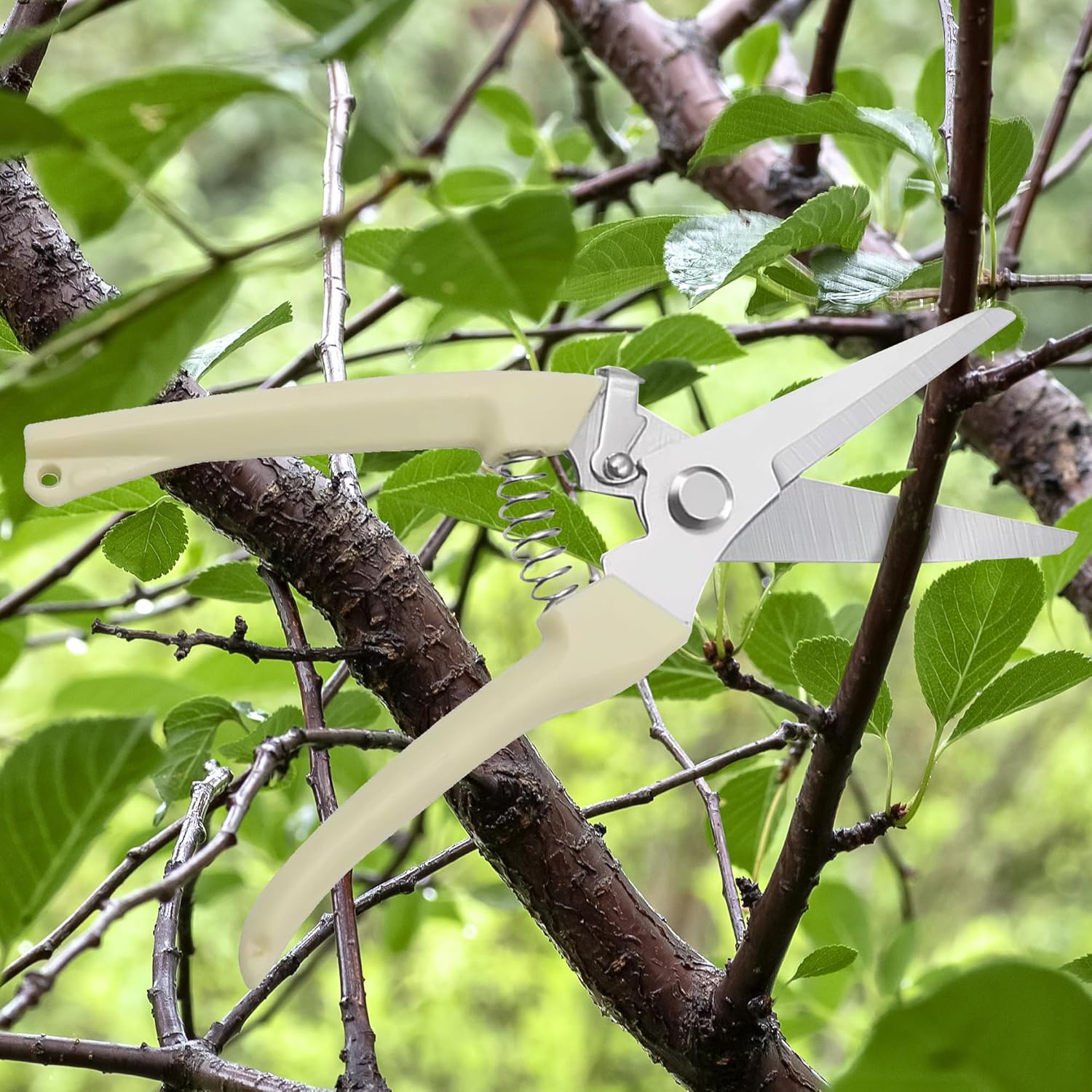 Curved Blade Stainless Steel Pruning Shears for Garden - Heavy Duty Branch Cutter with PP Grip, Ideal for Trimming Plants and Flowers