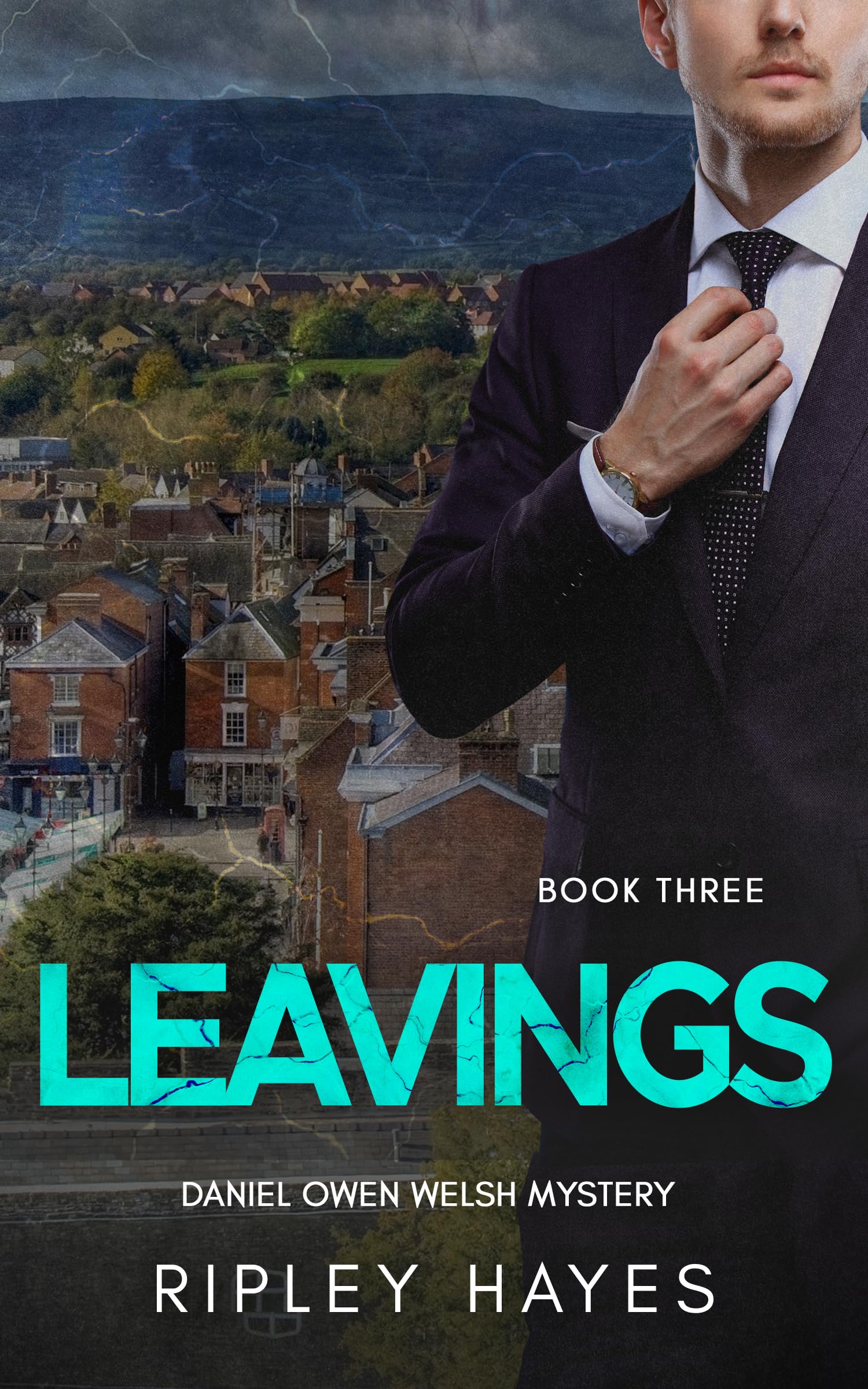 Leavings: A Gay Mystery Daniel Owen Book 3 (Daniel Owen Welsh Mysteries)