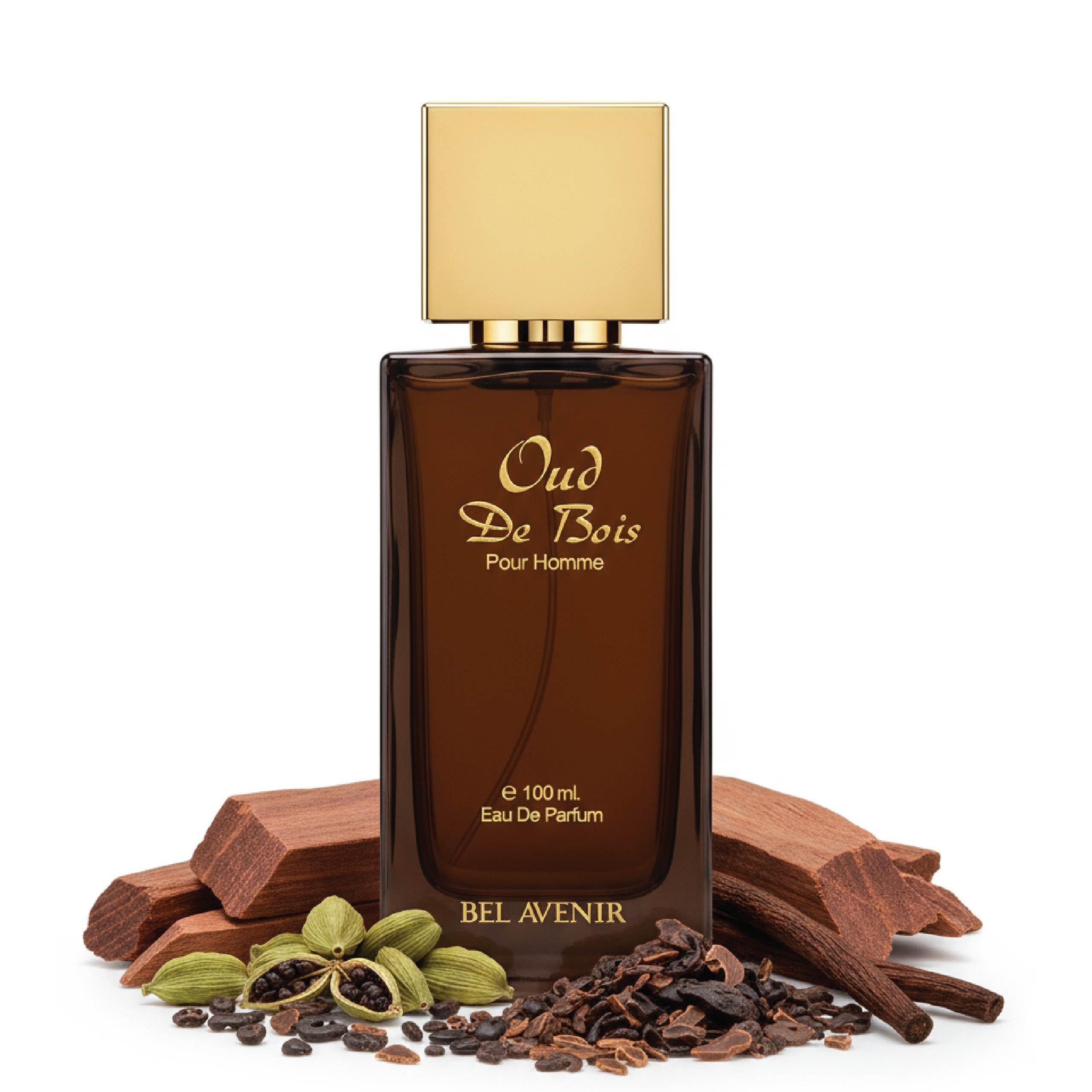 Bel Avenir Oud de Bois Perfume for Man | Strong Long Lasting Oud & Woody Oriental Scent | Everyday & Party Fragrance | Ideal Gift for Man | Eau de Parfum 100 ml