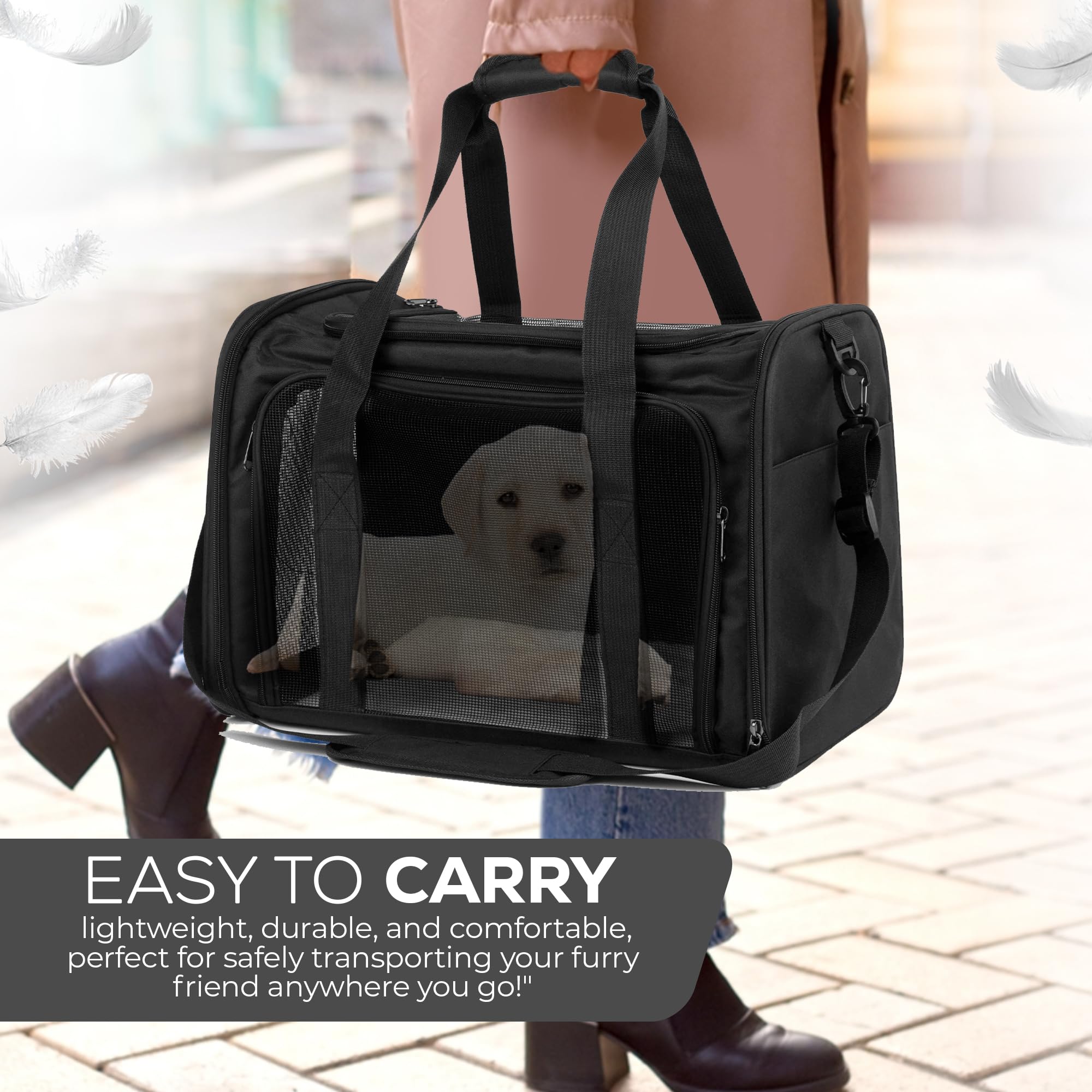 PetBuds Pet Carrier Bag, Soft Sided Foldable Cat/Dog/Pet Carrier Bag With Shoulder Strap & Multi-Layer Removable Mat - Image 3
