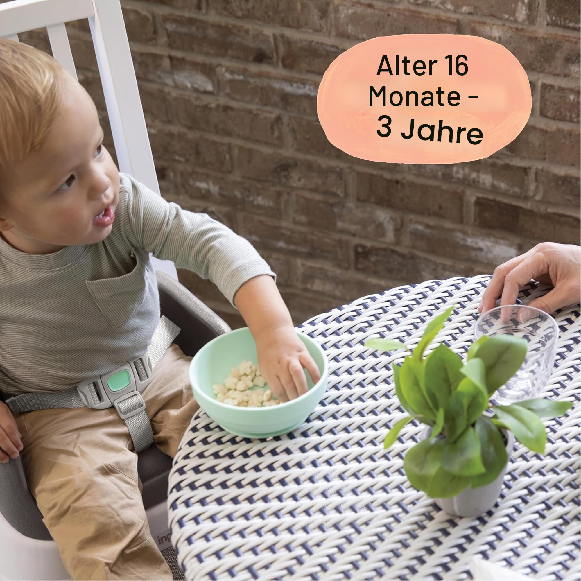 Ingenuity Sitzerhöhung Stuhl, Essen und Fütterung Sitz für Kleinkinder, Boostersitz mit Dreipunktgurt für mehr Sicherheit, leicht zu reinigen, ideal für unterwegs geeignet, ab 16 Monaten