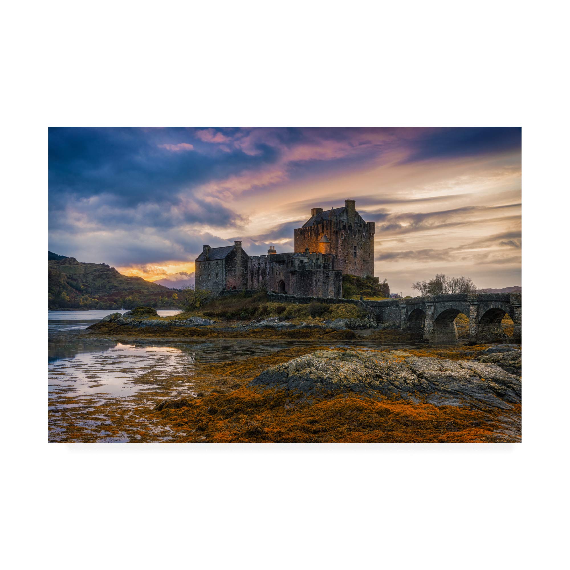 Trademark Fine Art, 16x24 Halloween Colors by Adrian Popan