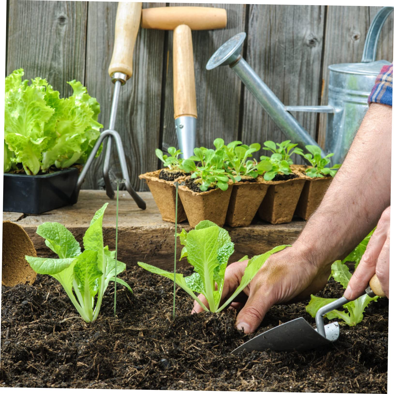 Toyvian 3 Sätze Pflanzenstützrahmen Pflanzenunterstützungseinsätze eingetopft Stützgestell für Kletterpflanzen Anlage Blumen- kleine Gartenpfähle Gartenpfahl Plastik Green