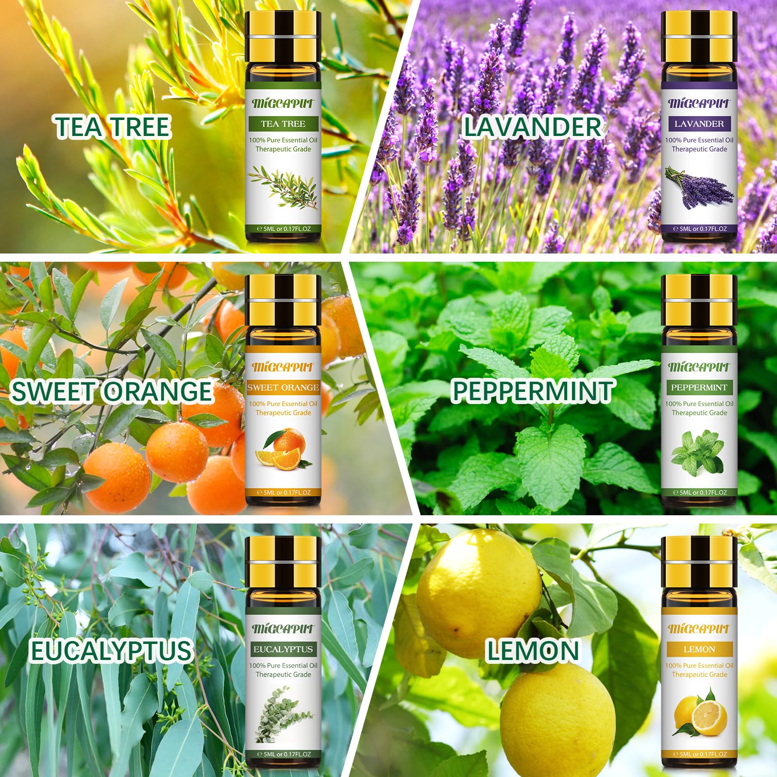 MIGCAPUT Zestaw Olejków Eterycznych 12 x 5ML, 100% Naturalne Aromaterapia Olejków Zapachowych do Dyfuzory, SPA, Masażu - Lawenda, Mięta, Drzewo Herbaciane, Słodka Pomarańcza, Trawa Cytrynowa