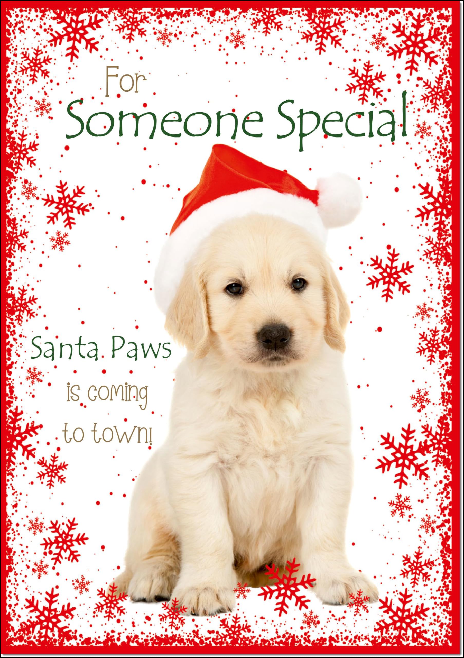 doodlecards Someone Special Christmas Card Cute Santa Paws Puppy Dog Pet Large A4 Size Christmas Card for Someone Special with Plain Envelope