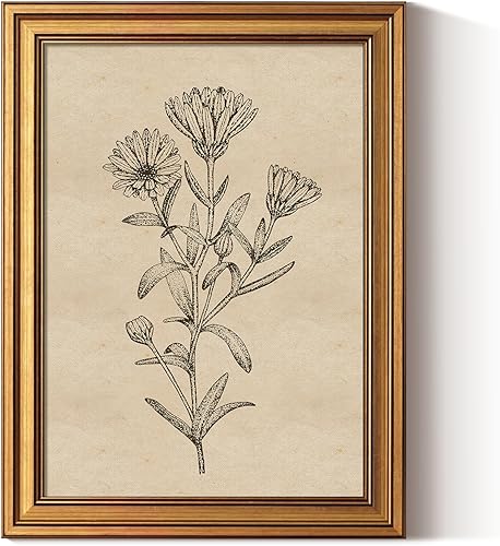 ARPEOTCY Lienzo enmarcado en oro, 12 x 16 pulgadas, pintura artística botánica de flores silvestres, decoración campestre vintage para baño,