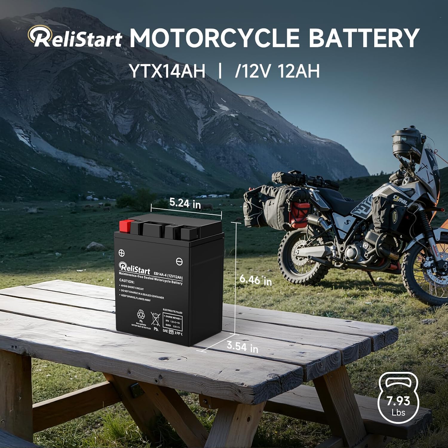 Motorcycle Battery YTX14AH-BS, EB14A-4, 12V 12Ah, 220 CCA, Powersport Replacement Batteries, AGM Maintenance Free Battery for Bike ATV Scooter