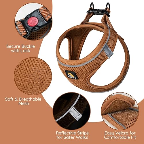 Miniatura 56 de BELLA & PAL Arnés de chaleco para perros pequeños y medianos, arnés para perro pequeño sin tirones con juego de correa, cómodo arnés de malla