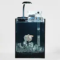 Kit de nano aquário, tanque de vidro pequeno sem aro de 1,5 galão com filtro, luz de aquário e decorações de paisagismo, para casa e escritório (tanque preto - cristal branco, pequeno)
