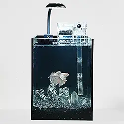 Kit de nano aquário, tanque de vidro pequeno sem aro de 1,5 galão com filtro, luz de aquário e decorações de paisagismo, para casa e escritório (tanque preto - cristal branco, pequeno)