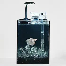 Kit de nano aquário, tanque de vidro pequeno sem aro de 1,5 galão com filtro, luz de aquário e decorações de paisagismo, para casa e escritório (tanque preto - cristal branco, pequeno)