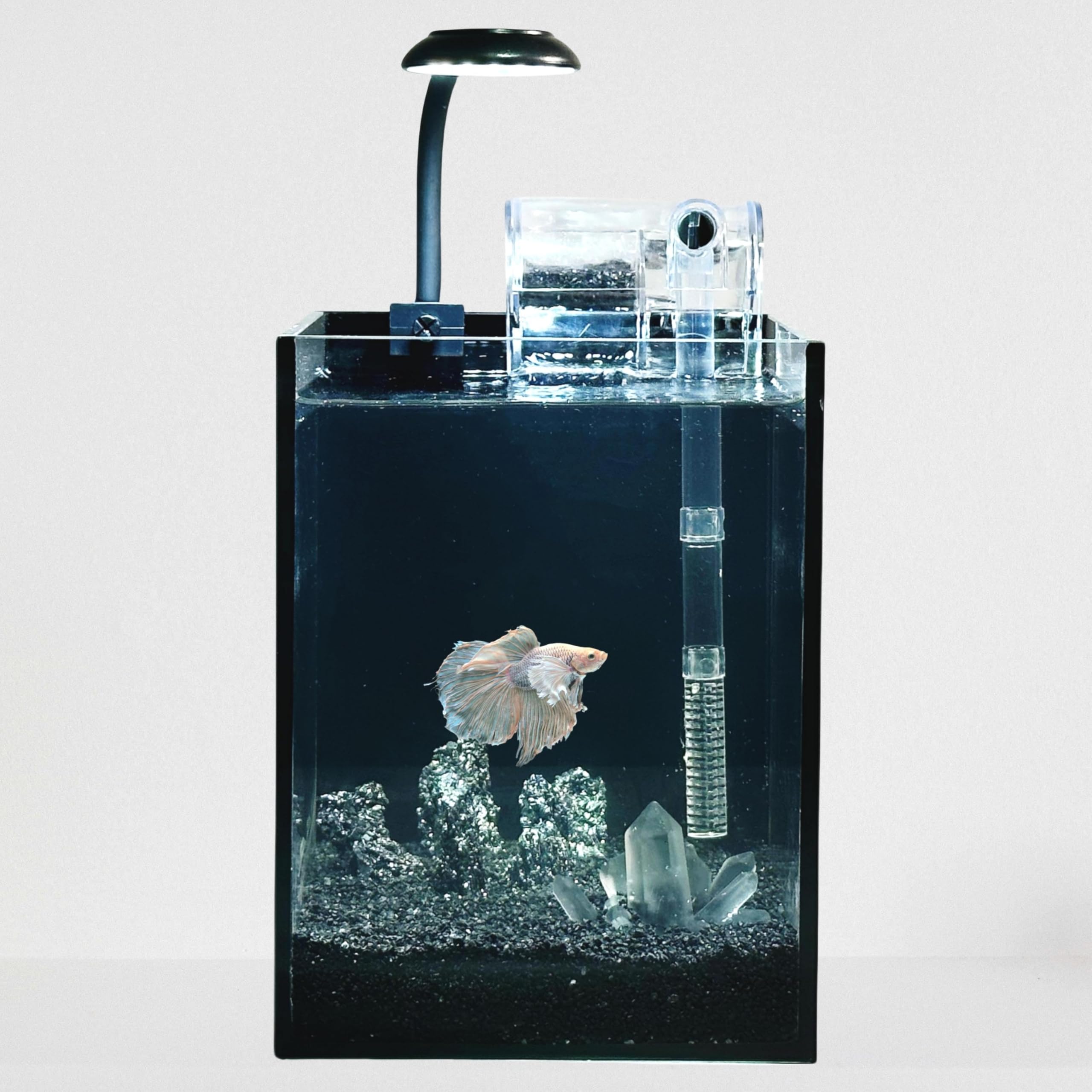 Nano Aquarium Kit,1.5 Gallon Rimless Small Fish Tank with Filter