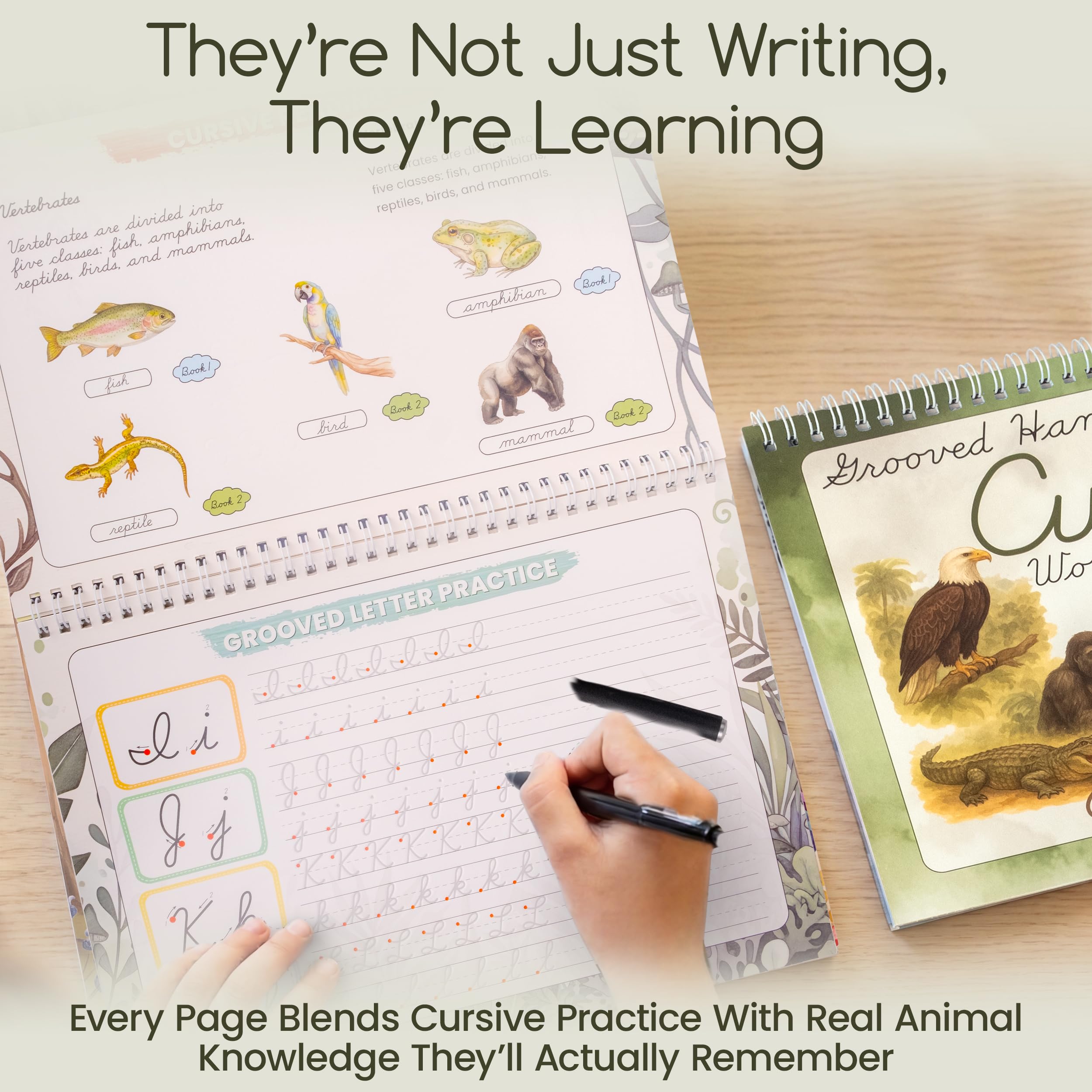 Animal Kingdom Cahier d'exercices cursif rainuré pour enfants de 8 à 12 ans – Graceful By Design – 21,6 x 27,9 cm – Pratique d'écriture rainurée pour enfants avec 4 stylos à encre magique, recharges