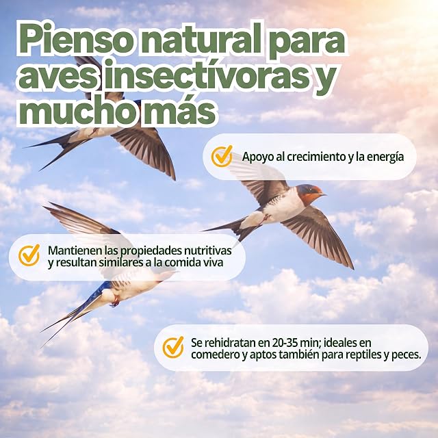 Foto 3 de 7 de Nutrinsect Heimchen Gefroren - Comida para insectos (500 ml)