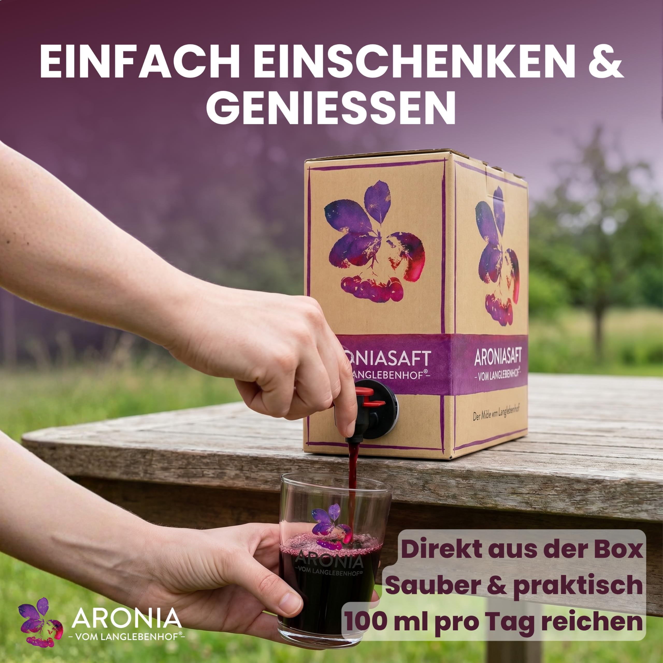 anglebenhof Aronia Direktsaft, Muttersaft, [100% Demeter und Bio] 3 Liter Box, Der Milde" Aroniasaft für Ernährungsbewusste, Aroniasaft aus Deutschland, Aronia Beeren Saft-sehr lange haltbar (2 x 3 L)