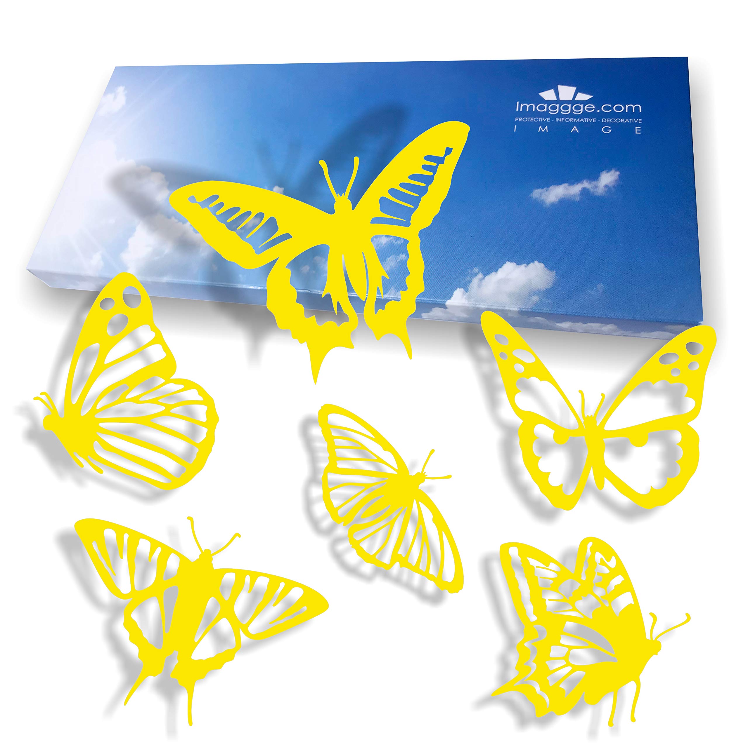 Window Protection Stickers, Anti-Collision Decals to Prevent People and Bird Strikes on Window Glass