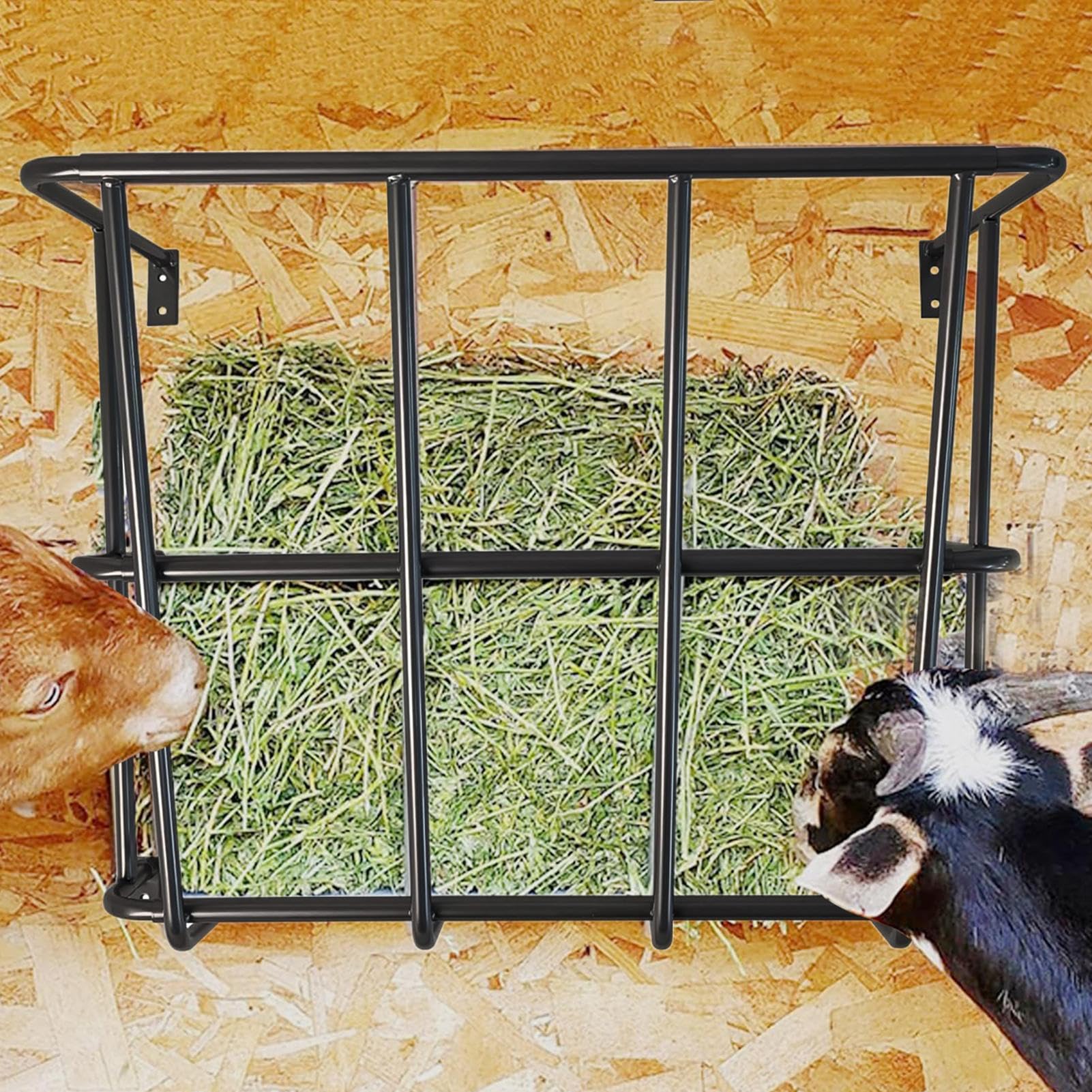 Rastrelliera Per Fieno Rastrelliera Rettangolare Per Box Animali Vendita Online Rastrelliere Zincate Animali - Medistore Variante Rastrelliera Grande Mangiatoia Per Pecore E Capre - 10