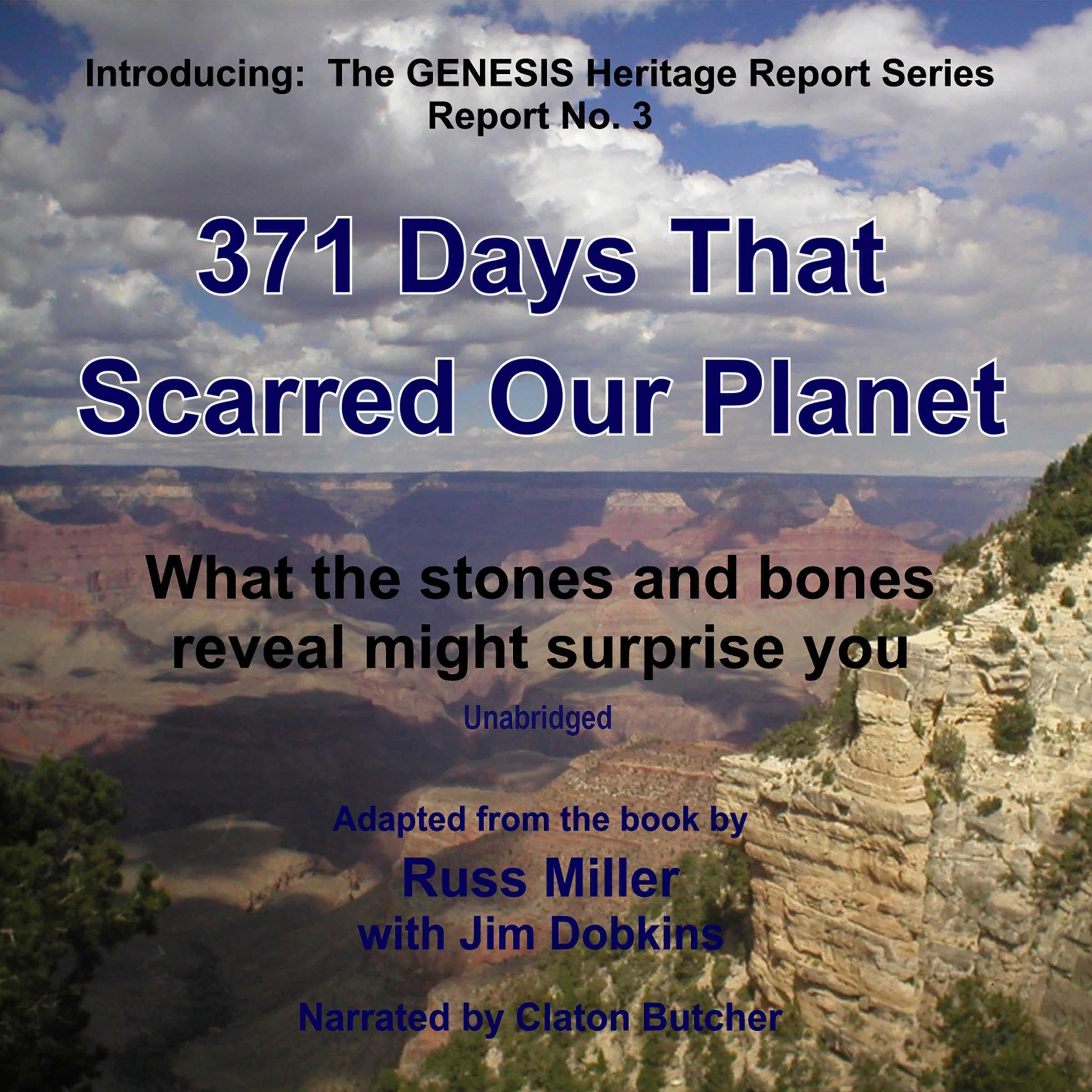 Cover art for 371 Days That Scarred Our Planet